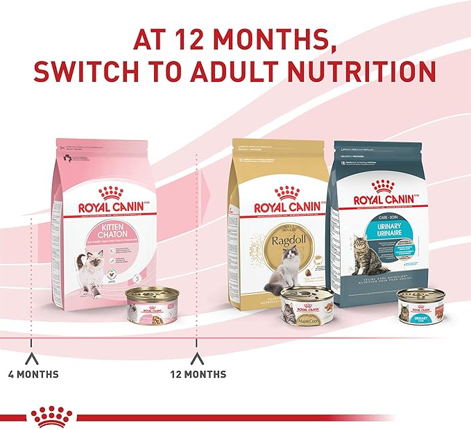 Royal Canin Feline Health Nutrition Kitten Thin Slices in Gravy Cat Food, 3 oz (Pack of 24)