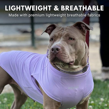 Spark Paws Sunblock Dog T-Shirt, SPF30 Protection, Lightweight Breathable Quick Dry for Dogs with Sensitive Skin - Purple & Pink (Set of 2) - XL