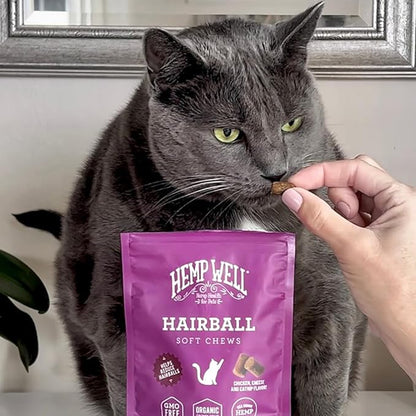 Hemp Well Cat Hairball Soft Chews for Cats (2 Pack), Organic USA Grown, Chicken Cheese & Catnip Flavor!
