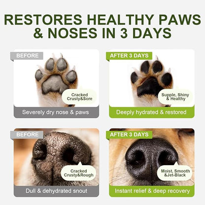 Paw and Nose Balm Stick for Dogs Cats Horse Lick-Safe Roll-On | Natural Moisturizer with Avocado Oil and Vitamin B5 | Paw Protector for Hot Pavement & Ice Melt 30ml