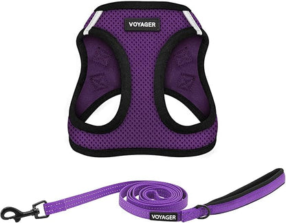 Best Pet Supplies Voyager Step-in Air All Weather Mesh Harness and Reflective Dog 5ft Leash Combo with Neoprene Handle, for Small, Medium and Large Breed Puppies - Set (Purple/Black Trim), Medium