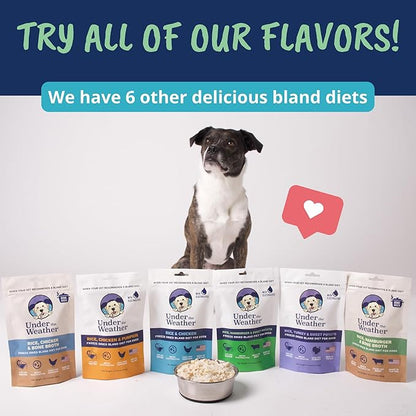 Under the Weather Bland Diet for Dogs | Easy to Digest for Sick Dogs | Always Be Ready | Contains Electrolytes - Natural Freeze Dried 100% Human Grade Meats| 2 Pack- Rice, Hamburger & Bone Broth - 6oz