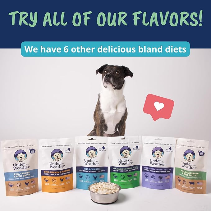 Under The Weather Easy to Digest Bland Dog Food Diet for Sick Dogs | Contains Electrolytes | Gluten Free, Freeze Dried 100% Human Grade Meats | 6 Pack - Rice, Hamburger & Bone Broth