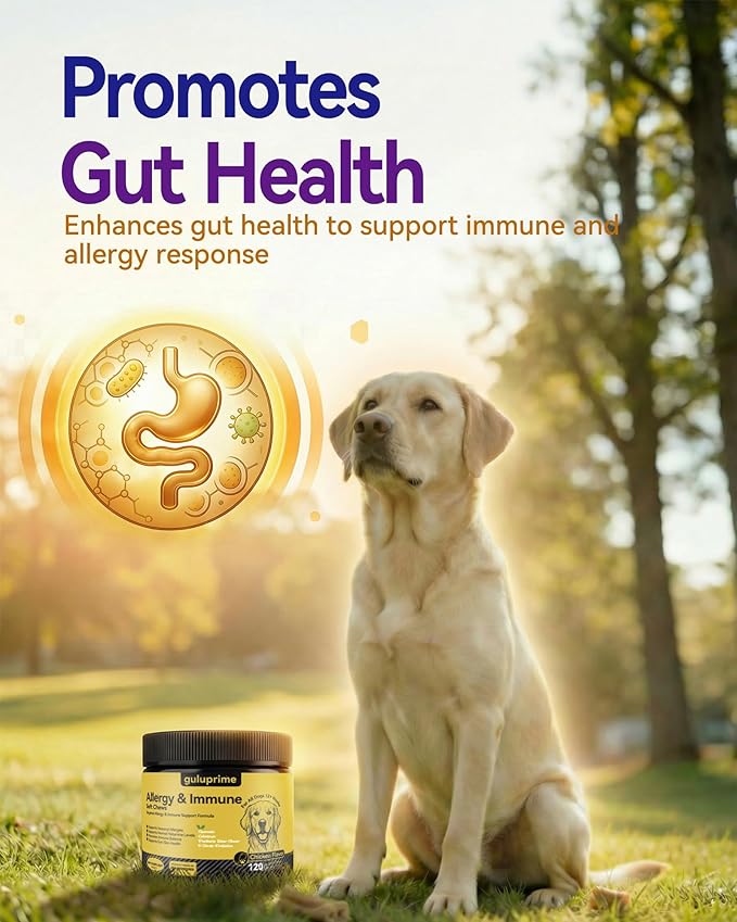 Dog Allergy Relief Chews – Seasonal Allergy Support for Dogs with Environmental Sensitivities, Immune & Gut Health Soft Chews for Allergy-Prone Dogs
