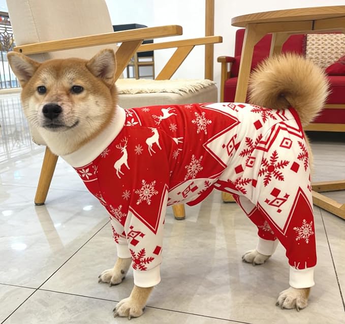 Xqpetlihai Dog Onesie Surgery Recovery Suit for Medium Large Dogs Recovery Shirt for Abdominal Wounds or Skin Diseases Bodysuit Dogs Pajamas(CH,M)