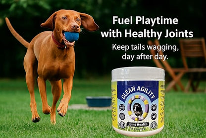 Joint Health for Dogs - Most Effective Hip and Joint Supplement Available - Formulated with Veterinarians, Glucosamine, Chondrointin, MSM, Turmeric (Soft Chew)
