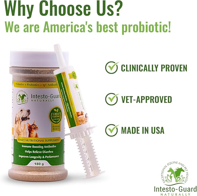 Probiotics Paste for Dogs Prebiotic for Canine, Gut Support, & Immune Boost, All Natural with 1 Billion per ML Includes (MOS)+ Beta Glucans + D-Mannose, No Animal by-Products - 30ML Single Tube