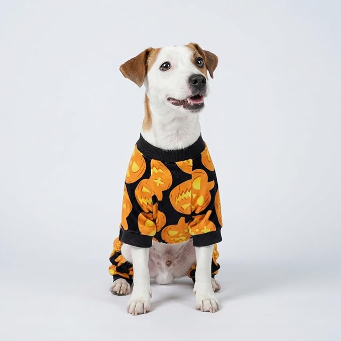 Fitwarm Halloween Pumpkin Dog Pajamas, Funny Dog Winter Clothes for Small Dogs Girl Boy, Pet Jumpsuit, Cat Halloween Costumes with Feet, Lightweight Velvet, Black, Orange, Medium