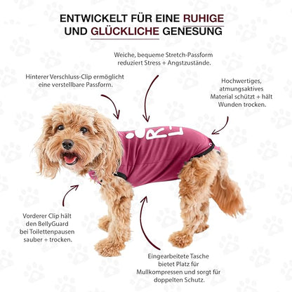 BellyGuard Dog Surgery Recovery Suit, Dog Onesie for Post-Op Care, Recovery Apparel for Female and Male, Surgical Body Cover for Canine Healing Support