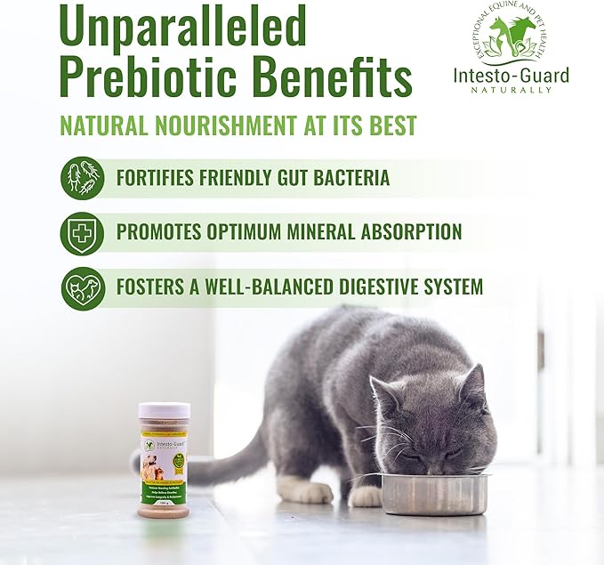 Powder Dog Probiotic, Prebiotic Puppies, No Animal By-Products, 2-Gram Scoop Contains 1.5 Billion, Digestive Health, Gut Support, Immune Boost – Vet-Formulated Powder for Maximum Potency – 180G Bottle