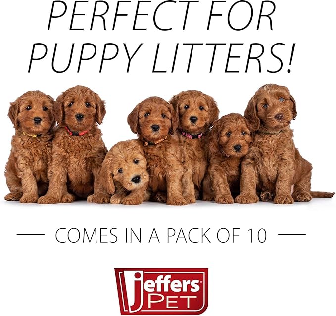 Jeffers Canine Health Records, 10 Pack - Health Tracker & Monitor Logbook for Vaccinations, Treatment and Wellness, Includes Owner Info, Veterinary Record Keeper, Dog Care Organizer