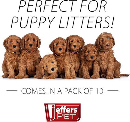 Jeffers Canine Health Records, 10 Pack - Health Tracker & Monitor Logbook for Vaccinations, Treatment and Wellness, Includes Owner Info, Veterinary Record Keeper, Dog Care Organizer