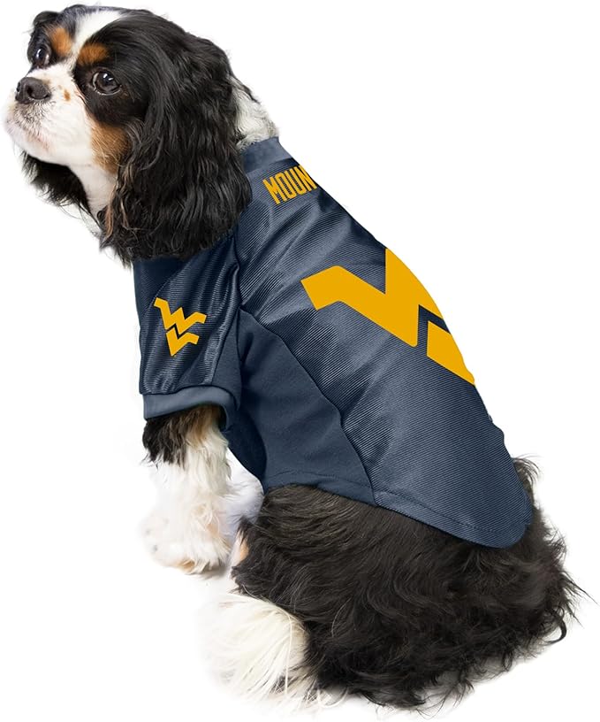 Littlearth NCAA Arizona Wildcats Stretch Pet Jersey, Team Color, Medium