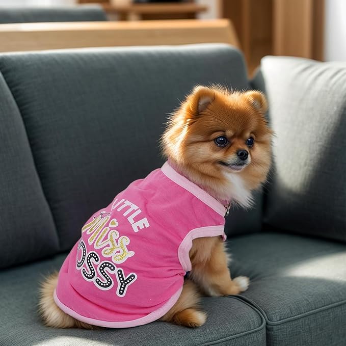 Pistha 4 Pack Dog Shirts Summer Printed Puppy Clothes Cute Sleeveless Pet T Shirts Dog Clothes for Small Medium Dogs Cats Girl(XL)