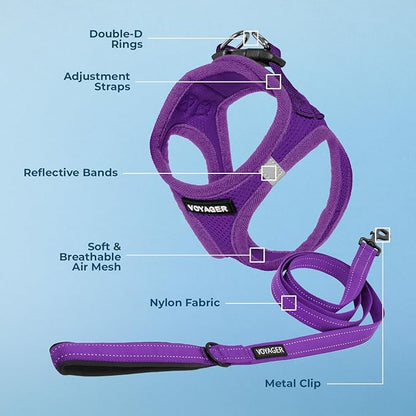 Best Pet Supplies Voyager Step-in Air All Weather Mesh Harness and Reflective Dog 5ft Leash Combo with Neoprene Handle, for Small, Medium and Large Breed Puppies - Set (Purple), Small
