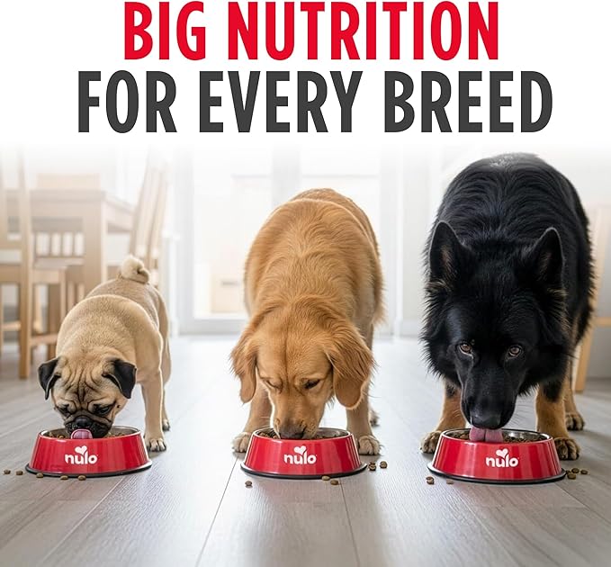 Nulo Frontrunner Dry Dog Food - Adult High-Protein Chicken, Oats & Turkey Recipe, Natural Kibble with Ancient Grains, Probiotics, Taurine, Omega 3 for Small, Medium and Large Breeds, 25lb Bag