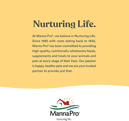 Manna Pro Hen Healer Multi-Purpose Ointment | Helps Support Healing | 2 Ounces