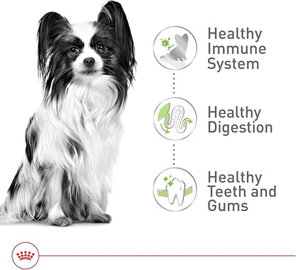 Royal Canin Size Health Nutrition X-Small 7+ Adult Dry Dog Food, 2.5 lb Bag