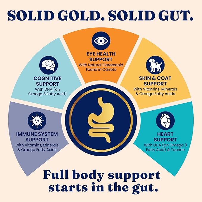 Solid Gold High Protein Dry Cat Food - Grain Free & Gluten Free Chicken Cat Dry Food w/Probiotics for Gut Health & Digestion - High Fiber & Omega 3 - Low Carb Kibble for All Ages - 6LB