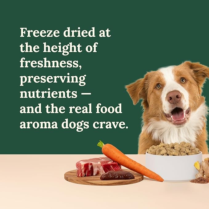 360 Pet Nutrition Freeze-Dried Raw Dog Food – Beef Recipe with Liver & Organs, High Protein with Omega-3s, Fruits, Veggies & Superfoods, Grain-Free, No Filler 4 x 16 oz Made in USA