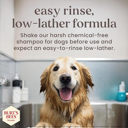 BURT'S BEES FOR PETS Deodorizing Dog Spray with Manuka Honey and Charcoal for Dogs - Naturally Derived Ingredients, Formulated without Artificial Fragrances, Sulfates, Colorants, 10 Fl Oz