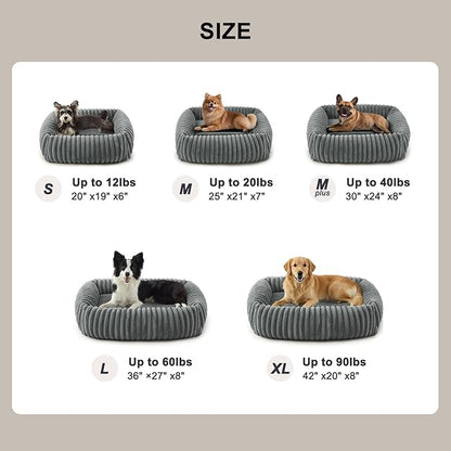 FURTIME Dog Bed for Small Dogs, Washable Orthopedic Dog Bed with Removable Cover, Rectangle Soft Calming Sleeping Puppy Bed Durable Pet Cuddler with Anti-Slip Bottom, Grey, S (20"x19"x6")