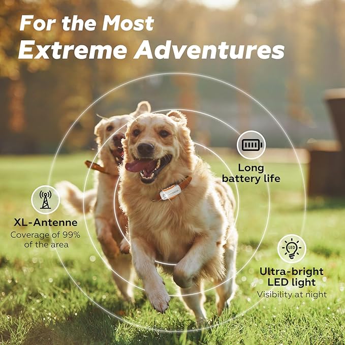 DBDD Smart GPS Dog Collar Tracker with Virtual Fence, Live Tracking & Vital Signs Monitoring for Dogs 40lbs Up, Waterproof Pet GPS Tracker for Pets,iOS & Android Compatible