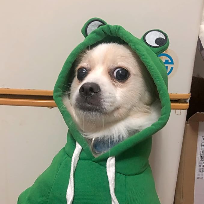 Dog Hoodie Basic Sweater Coat Cute - Frog Shape Warm Jacket Pet Cold Weather Clothes Outfit Outerwear for Cats Puppy Small Medium Dogs (XXL)