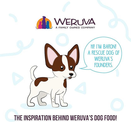 Weruva Meals 'n More Wet Dog Food, Doggie Duo Trial Variety Pack, 3.5oz Cup, Pack of 4