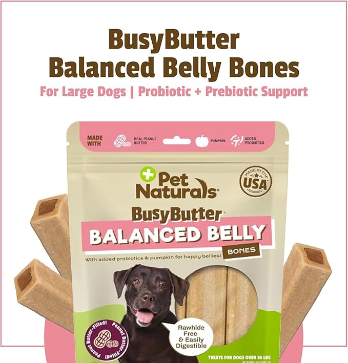 Pet Naturals BusyButter Balanced Belly Peanut Butter Bones, Rawhide-Free Chews for Medium/Large Dogs, Long Lasting Chew Bones, Probiotics and Pumpkin for Gut Health, 4 Count