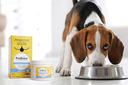 Probiora for Dogs | Dog Probiotic Supplement for Oral Care | Pet Probiotics to Reduce Bad Breath | Dog Nutritional Supplement for Dental Health | 30 Servings (Pack of 3, Jar)