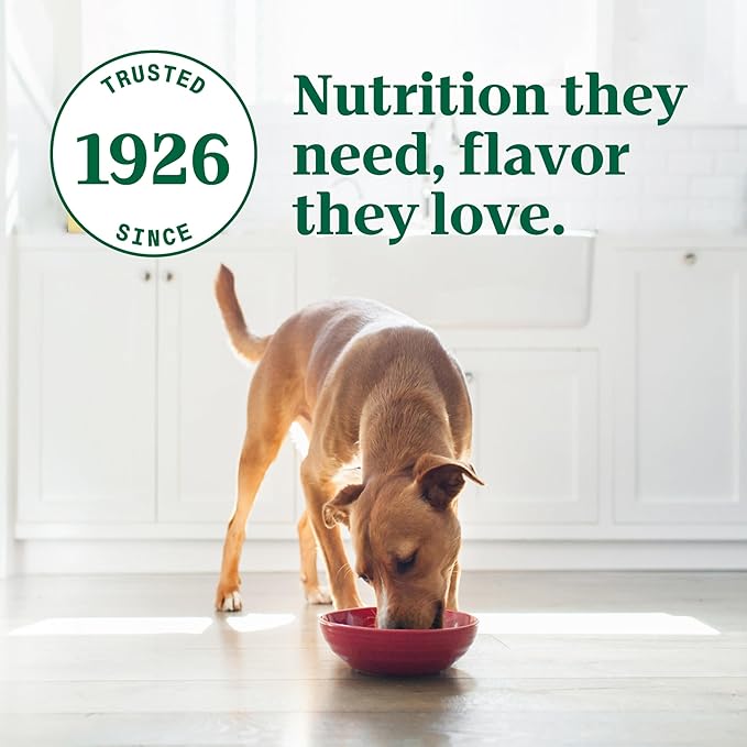 Nutro Ultra Wet Dog Food Grain Free Filets, Adult Dog Food Wet Recipe in Gravy Duck & Roasted Turkey Variety Pack, 3.5 oz. Trays (12 Count, Pack of 1)