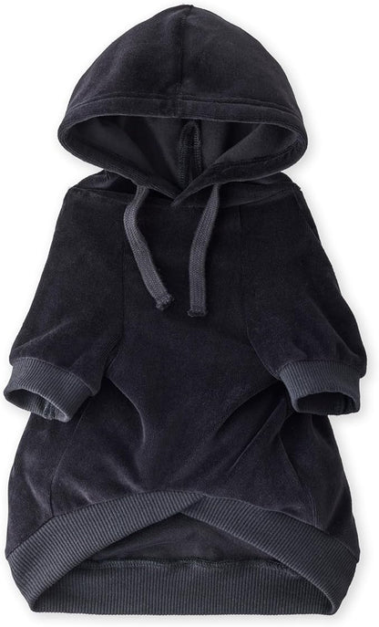 Pet Passion Cooper II Organic Cotton Velour Dog Hoodie Pet Coat for Small, Medium and Large Dogs, Black, Small (10-25 lbs)