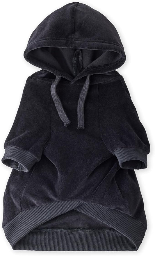 Pet Passion Cooper II Organic Cotton Velour Dog Hoodie Pet Coat for Small, Medium and Large Dogs, Black, X-Small (5-12 lbs)