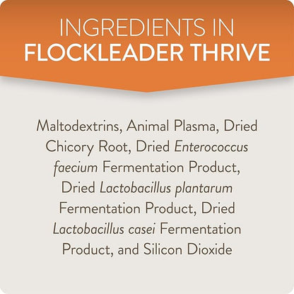 FlockLeader Thrive, Daily Probiotic & Prebiotic Water Supplement for Chickens 8+ Weeks Old, 8 oz (Pack of 2)