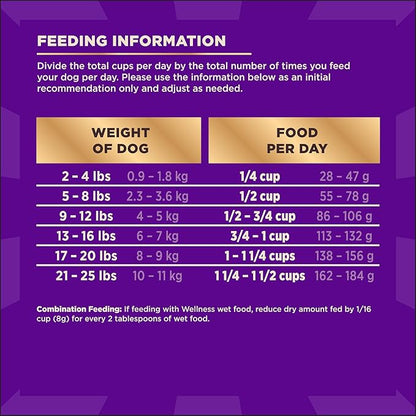 Wellness CORE+ Small Breed Adult Dry Dog Food with Freeze Dried Pieces, Wholesome Grain Kibble+, Natural, High Protein, Turkey and Chicken Recipe, 10 lb Bag