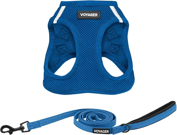 Best Pet Supplies Voyager Step-in Air All Weather Mesh Harness and Reflective Dog 5ft Leash Combo with Neoprene Handle, for Small, Medium and Large Breed Puppies - Set (Royal Blue), X-Large