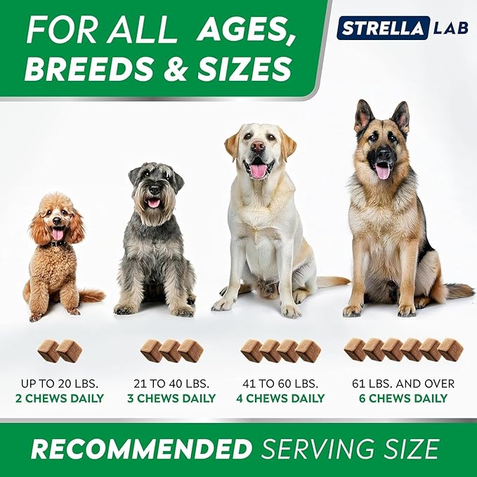 StrellaLab Dog Allergy Relief & Anti Itch Support Chews w/Omega 3: Real Ingredients, Real Taste! Skin & Coat Immune Supplement w/Fish Oil, Pumpkin & Enzymes - Made in USA - 240 Chews