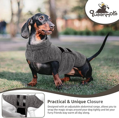 Queenmore Medium Dog Sweaters, Soft Fleece Vest Pullover Dog Jacket with Leash Hole, Warm Winter Dogs Clothes Cold Weather Doggy Dachshund Sweater for Medium Dogs Cats Boy or Girl (Cationic Gray, M)