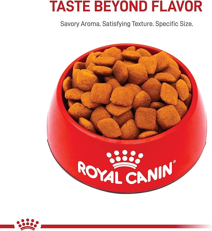 Royal Canin Breed Health Nutrition Golden Retriever Adult Dry Dog Food, 17 lb Bag