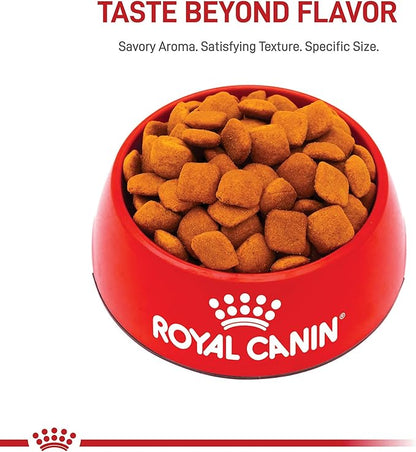 Royal Canin Breed Health Nutrition Golden Retriever Adult Dry Dog Food, 17 lb Bag