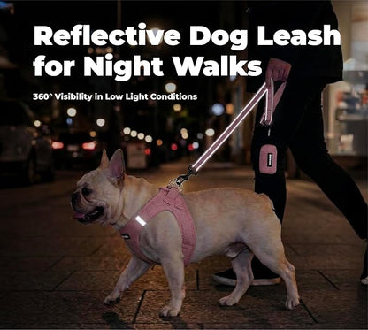 Best Pet Supplies Voyager Reflective Dog Leash or Collar with Neoprene Handle, for Small, Medium, and Large Breed Puppies, Cute and Heavy Duty for Walking, Running and Training - Pink (Leash), L