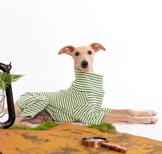 Dog Sweaters for Small Dogs Girls Boys, Striped Pet Sweaters for Fall Winter Dog Clothes, Turtleneck Pullover Knitwear for Small Medium Large Dogs
