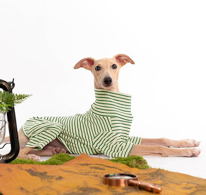 Dog Sweaters for Small Dogs Girls Boys, Striped Pet Sweaters for Fall Winter Dog Clothes, Turtleneck Pullover Knitwear for Small Medium Large Dogs
