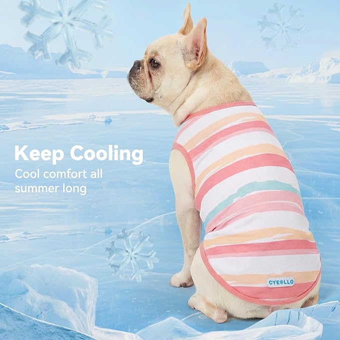 cyeollo 2pack Dog Cooling Shirt, Breathable Sleeveless Summer Clothes for Dogs, Intant Cool T Shirts for Small Dogs, Pink M