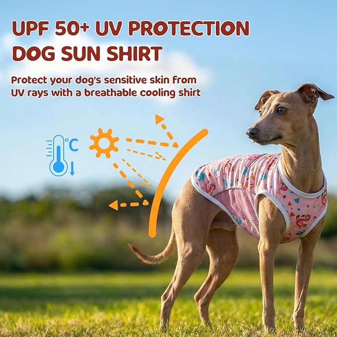 UPF 50+ Sun Protection Dog T-Shirt, 2 Pack Lightweight Sleeveless Dog Vest for Medium Large Dogs Girl – Reflective Strips, Quick-Dry Pet Apparel, Sports Fan Shirt P23ST00510XXXL