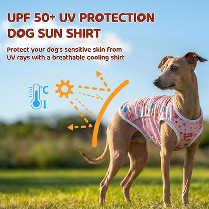 UPF 50+ Sun Protection Dog T-Shirt, 2 Pack Lightweight Sleeveless Dog Vest for Small Medium Dogs Girl – Reflective Strips, Quick-Dry Pet Apparel, Sports Fan Shirt P23ST00510L