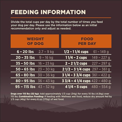 Wellness CORE Adult Dry Dog Food, Grain Free Kibble, Natural, High Protein, Turkey and Chicken Recipe, 4 lb Bag