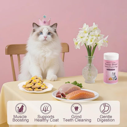 Dylan's cabin Freeze Dried Chicken Cat & Dog Treats - High Protein Poached Eggs Bites with Salmon & Pumpkin Training Kitten Puppy Snack for Coat Gut Healthy, 34pcs