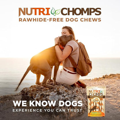 NutriChomps Dog Chews 5-inch Twists, Easy to Digest, Rawhide-Free Dog Treats, 10 Count, Real Peanut Butter Flavor, Bundle of 2, 20 Count, NT063V-2